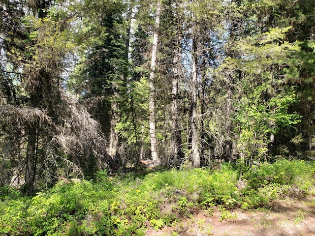 NHN Butcher Creek Road, Trego, MT 59934