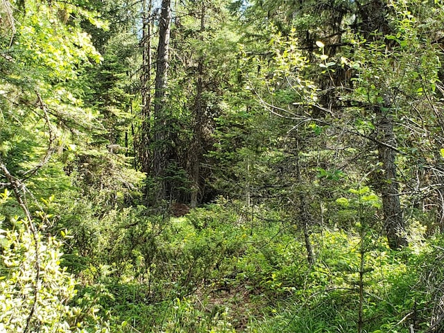 NHN Butcher Creek Road, Trego, MT 59934