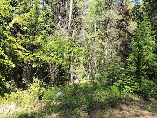 NHN Butcher Creek Road, Trego, MT 59934