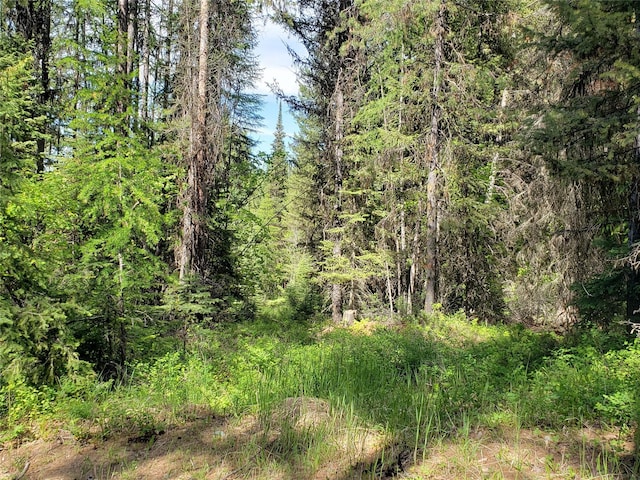 NHN Butcher Creek Road, Trego, MT 59934