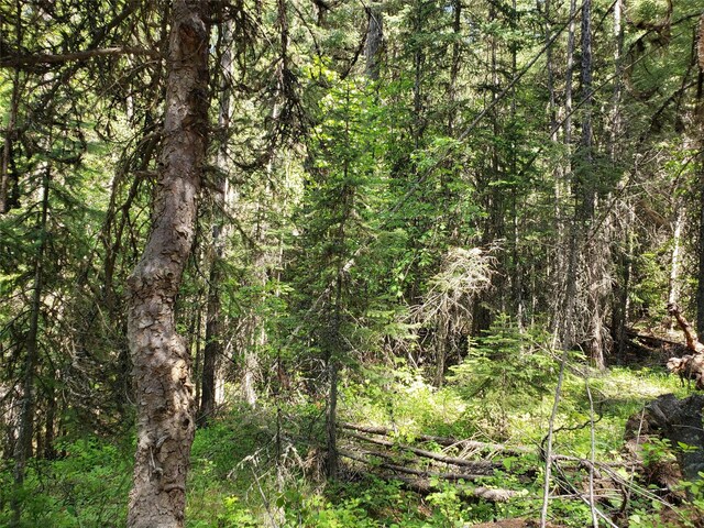 NHN Butcher Creek Road, Trego, MT 59934