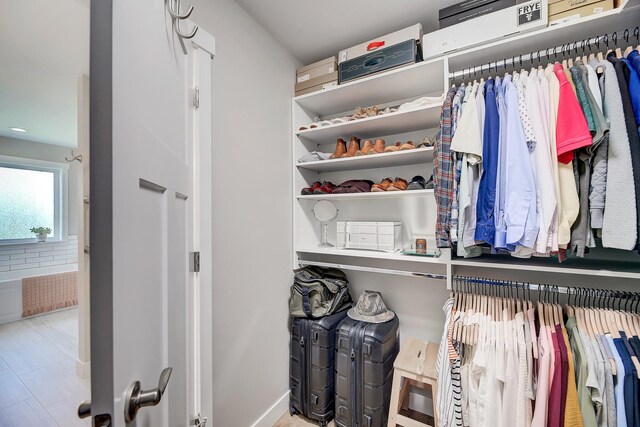 view of closet