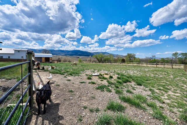 217 Spring St, Townsend, MT 59644 - view of yard with a rural view and a mountain view