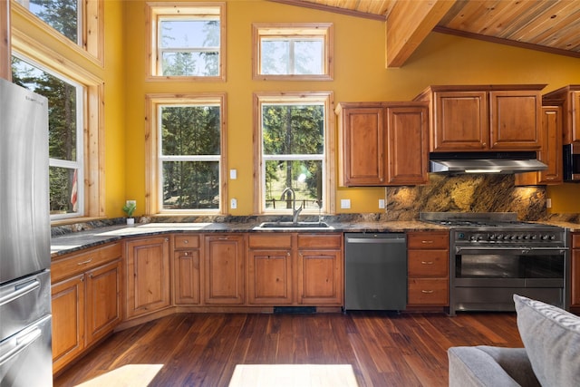 1492 Mcmannamy Draw, Kalispell, MT 59901 - kitchen featuring appliances with stainless steel finishes, lofted ceiling, under cabinet range hood, healthy amount of natural light, and wooden ceiling