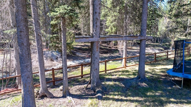 1492 Mcmannamy Draw, Kalispell, MT 59901 - view of yard with a trampoline