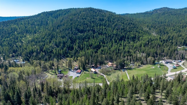 1492 Mcmannamy Draw, Kalispell, MT 59901 - view of property location with a forest and mountains
