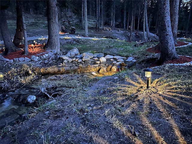 1492 Mcmannamy Draw, Kalispell, MT 59901 - view of local wilderness