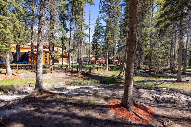 1492 Mcmannamy Draw, Kalispell, MT 59901 - view of yard with a trampoline