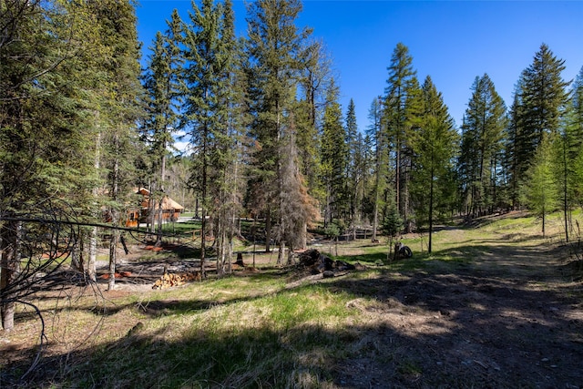 1492 Mcmannamy Draw, Kalispell, MT 59901 - view of yard