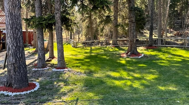1492 Mcmannamy Draw, Kalispell, MT 59901 - view of yard
