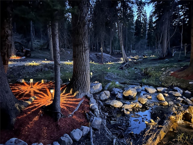 1492 Mcmannamy Draw, Kalispell, MT 59901 - view of yard