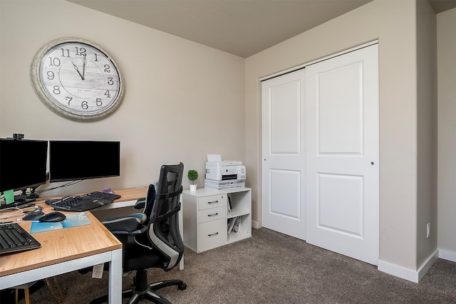 517 Raven Ln, Kalispell, MT 59901 - home office with dark carpet and baseboards