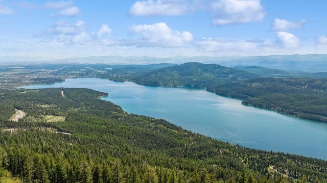145 Elk Highlands Dr, Whitefish, MT 59937 - bird's eye view of a forest and a water and mountain view
