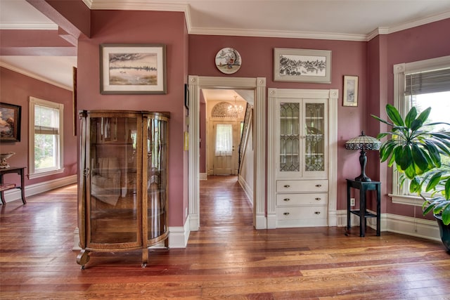 entrance foyer with plenty of natural light, hardwood / wood-style flooring, crown molding, and baseboards