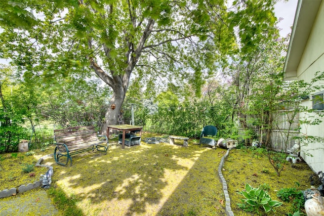 view of yard