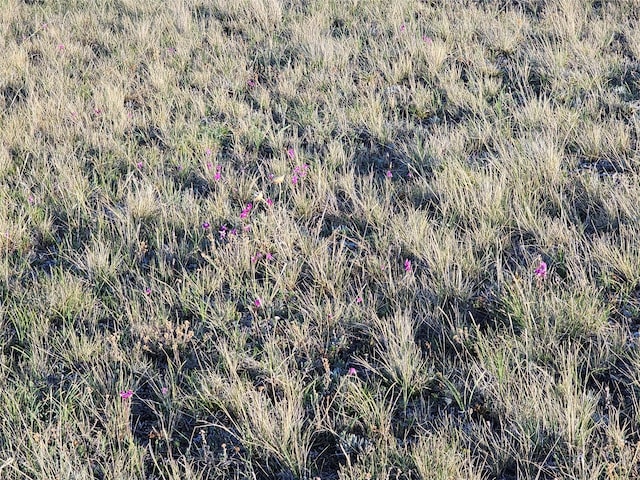 NHN Red Hill Rd, Ryegate, MT 59074