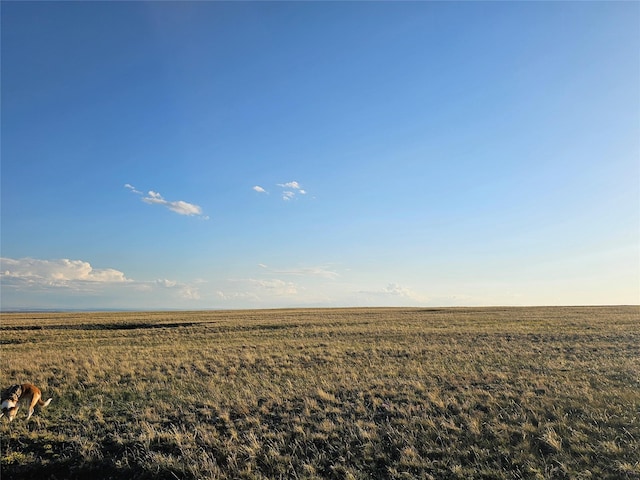 NHN Red Hill Rd, Ryegate, MT 59074