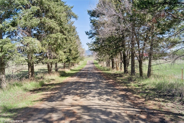 222 Lundeen Rd, Eureka, MT 59917 - view of dirt / gravel road