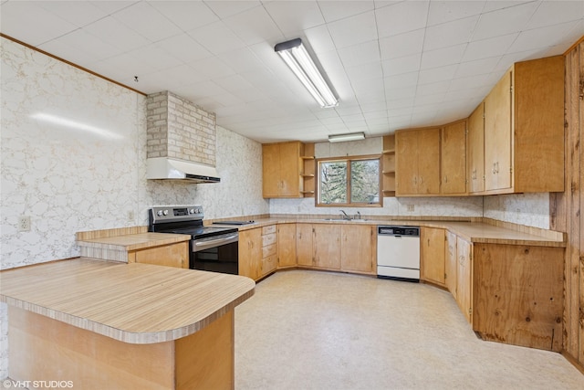 222 Lundeen Rd, Eureka, MT 59917 - kitchen with stainless steel electric range oven, dishwasher, open shelves, under cabinet range hood, and light countertops