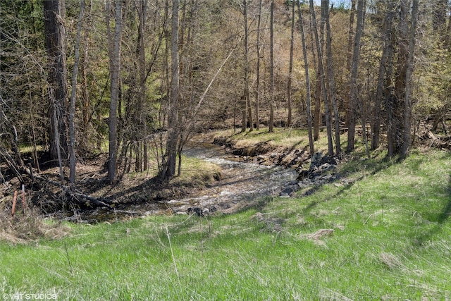 222 Lundeen Rd, Eureka, MT 59917 - view of local wilderness