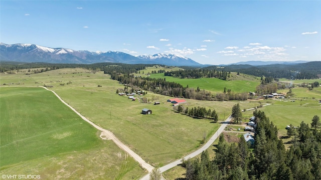 222 Lundeen Rd, Eureka, MT 59917 - overview of rural landscape with a mountainous background and agricultural land