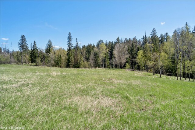 222 Lundeen Rd, Eureka, MT 59917 - view of woods