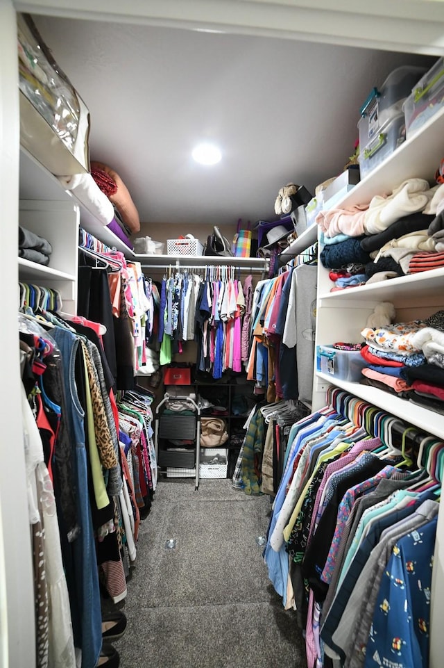 121 Choteau Ave NE, Great Falls, MT 59404 - spacious closet with carpet floors