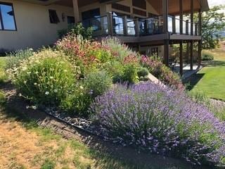470 Salmon Way, Corvallis, MT 59828 - view of yard with a wooden deck