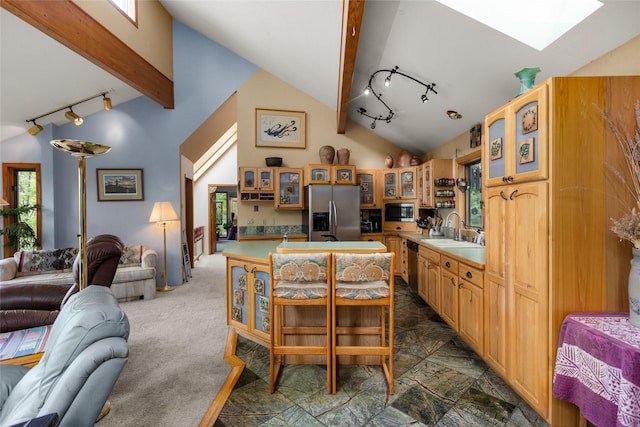 kitchen featuring rail lighting, stainless steel appliances, open floor plan, a sink, and a skylight