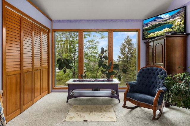 living area featuring carpet