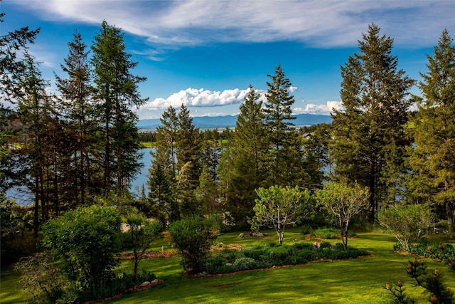 surrounding community with a lawn