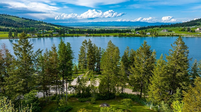water view featuring mountains and a forest