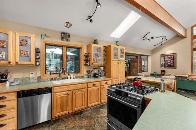 kitchen with stainless steel appliances, a sink, a skylight, and track lighting