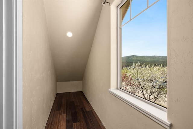 125 Schlegel View Rd, Kalispell, MT 59901 - hall with dark wood-style floors and a textured wall