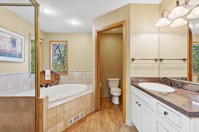 240 Eagle Bend Dr, Bigfork, MT 59911 - full bathroom with vanity, a garden tub, wood finished floors, healthy amount of natural light, and a textured ceiling