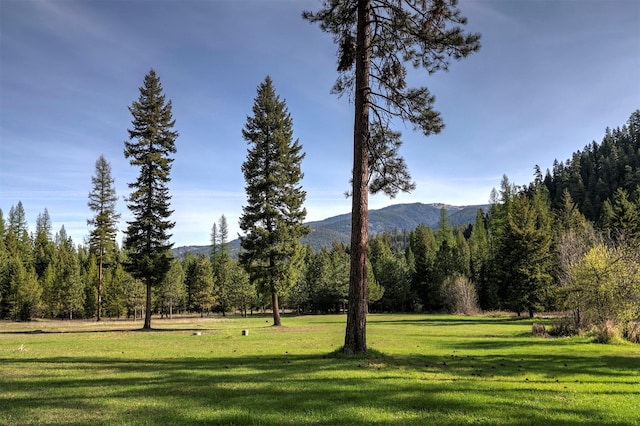 mountain view featuring a heavily wooded area