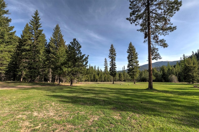 view of property's community featuring a lawn, a mountain view, and a view of trees