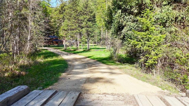 view of community featuring a forest view