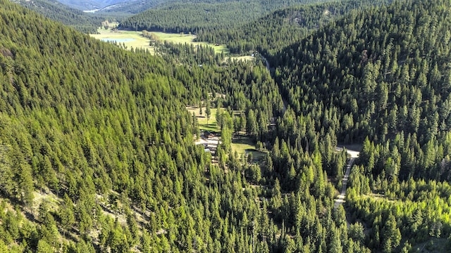 drone / aerial view of a heavily wooded area and mountains