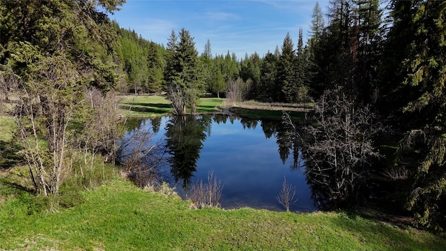 4991 Petty Creek Rd, Alberton, MT 59820 - water view