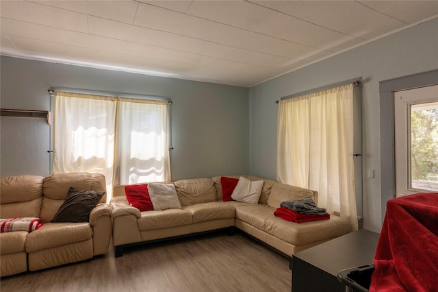 4 Ratcliff Rd, Hot Springs, MT 59845 - living room with wood finished floors and ornamental molding