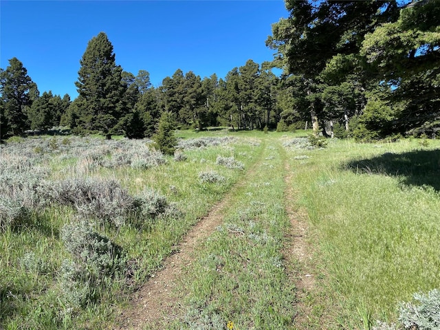 320A Turk Rd, Helena, MT 59602