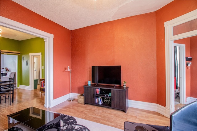 717 W Quartz St, Butte, MT 59701 - living room with wood finished floors, a textured wall, a textured ceiling, and baseboards