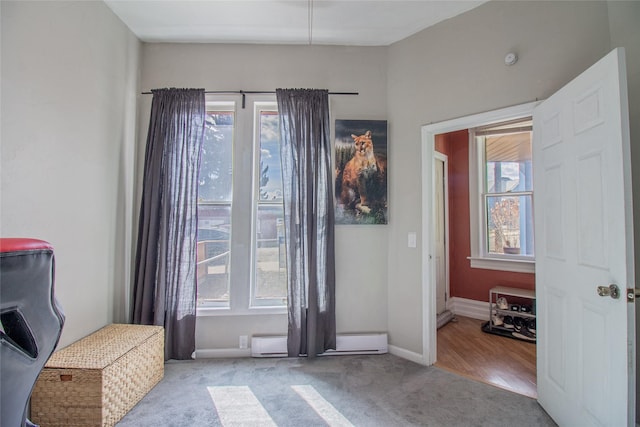 717 W Quartz St, Butte, MT 59701 - sitting room featuring healthy amount of natural light, carpet floors, baseboard heating, and baseboards