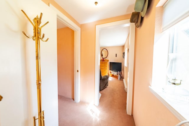 102 Scenery Rd, Libby, MT 59923 - hall with light carpet