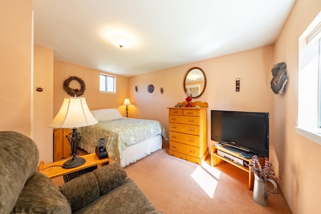 102 Scenery Rd, Libby, MT 59923 - view of carpeted bedroom