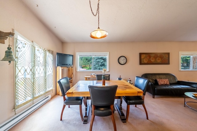 102 Scenery Rd, Libby, MT 59923 - dining area featuring baseboard heating and light carpet