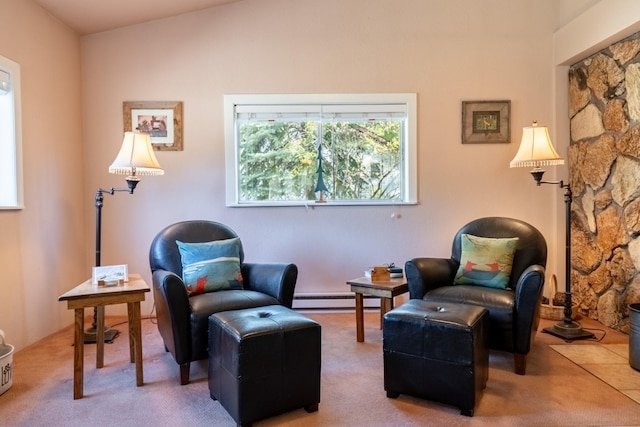 102 Scenery Rd, Libby, MT 59923 - living area featuring baseboard heating and carpet flooring
