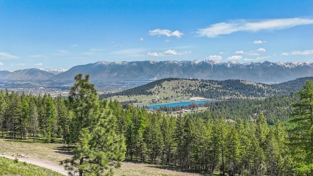 330 Majestic View Dr, Kalispell, MT 59901