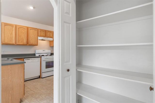 550 Green Tree Dr, Belgrade, MT 59714 - view of pantry
